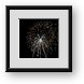 Buy Framed Print