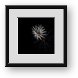 Buy Framed Print