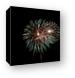 4th of July fireworks Canvas Print