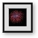 Buy Framed Print