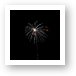 4th of July fireworks Art Print