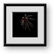 Buy Framed Print