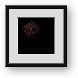Buy Framed Print
