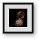 Buy Framed Print