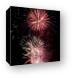 4th of July fireworks Canvas Print