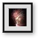 Buy Framed Print