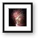 4th of July fireworks Framed Print