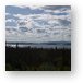 Buy Metal Print