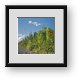 Buy Framed Print