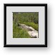 Buy Framed Print
