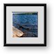 Buy Framed Print