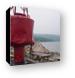 Big red buoy in St. Irenee, Quebec Canvas Print