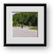 Buy Framed Print