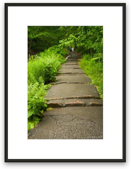Path in Niagara Falls State Park Framed Fine Art Print