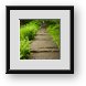 Buy Framed Print