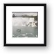 Maid of the Mist and American Falls Framed Print