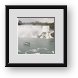 Buy Framed Print