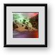 Buy Framed Print