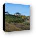 Malibu home on hill with rows of grape vines Canvas Print