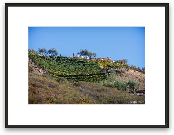 Malibu home on hill with rows of grape vines Framed Fine Art Print