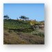 Malibu home on hill with rows of grape vines Metal Print