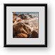 Buy Framed Print