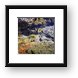 Small tide pool with sea life Framed Print