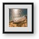 Buy Framed Print