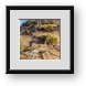 Buy Framed Print