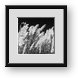 Buy Framed Print