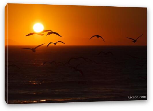 Seagulls in the sunset at Leo Carrillo State Beach Fine Art Canvas Print