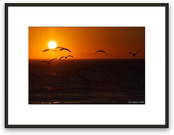 Seagulls in the sunset at Leo Carrillo State Beach Framed Fine Art Print