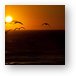 Seagulls in the sunset at Leo Carrillo State Beach Metal Print