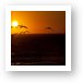 Seagulls in the sunset at Leo Carrillo State Beach Art Print