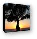 Tree at sunset, Leo Carrillo State Beach Canvas Print