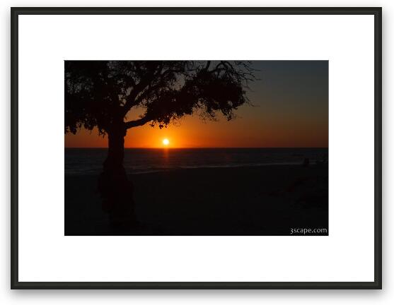 Tree at sunset, Leo Carrillo State Beach Framed Fine Art Print