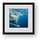 Buy Framed Print