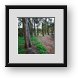 Buy Framed Print