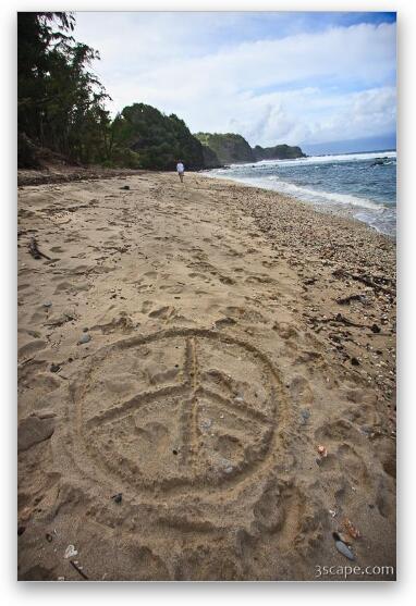 Peace sign in the sand Fine Art Metal Print