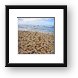 Broken up coral beach Framed Print