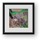 Buy Framed Print