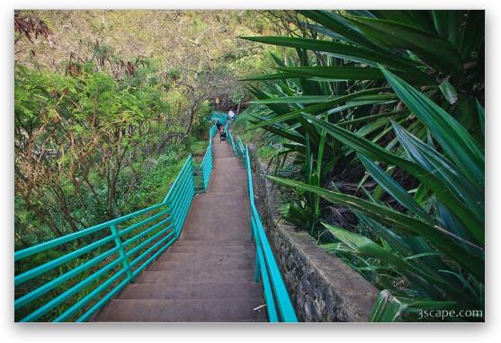 Stairway down to Mokuleia Bay beach Fine Art Print