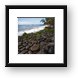 Rocky shoreline near DT Fleming beach Framed Print