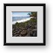 Buy Framed Print