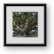 Buy Framed Print