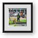 Buy Framed Print