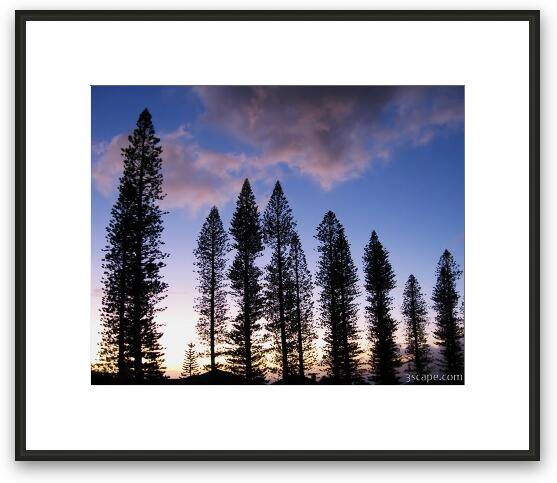 Trees in Silhouette Framed Fine Art Print
