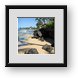 Buy Framed Print