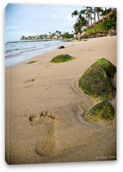 Footprints in the sand Fine Art Canvas Print