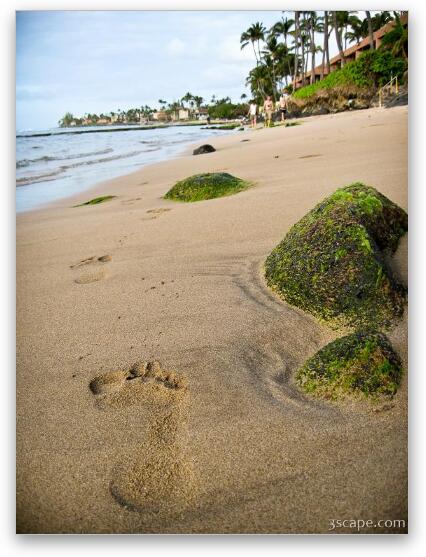 Footprints in the sand Fine Art Metal Print